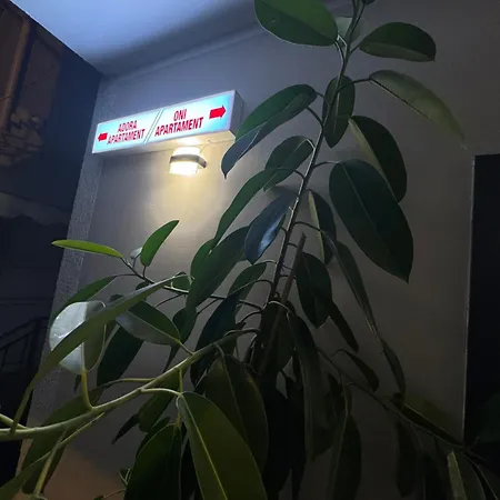 Apartmán Oni Tirana