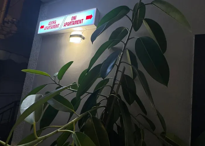 Lägenhet Oni Tirana